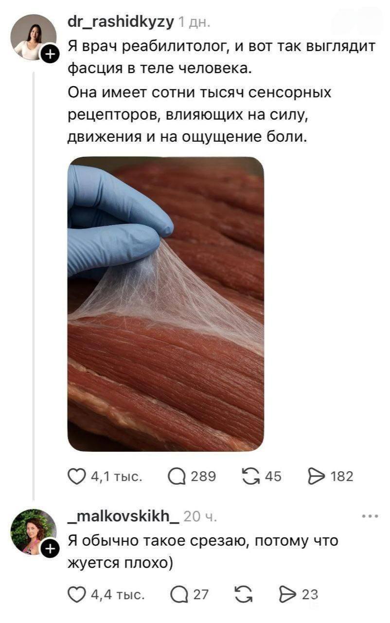 – Я врач реабилитолог, и вот так выглядит фасция в теле человека. Она имеет сотни тысяч сенсорных рецепторов, влияющих на силу, движения и на ощущение боли.
– Я обычно такое срезаю, потому что жуётся плохо.