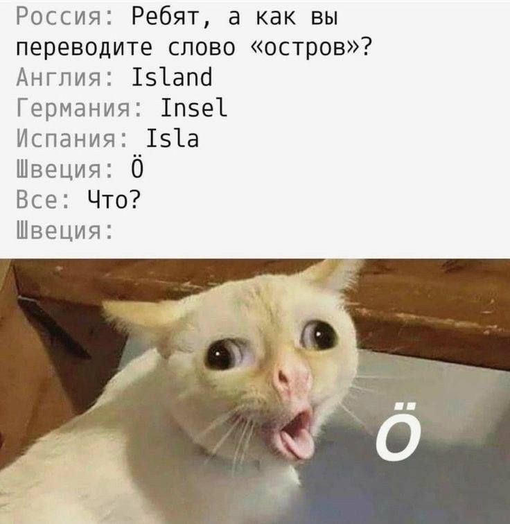 Россия: Ребят, а как вы переводите слово «остров»?
Англия: Island
lepmaHus: Insel
Испания: 
Швеция: O
Все: Что?
Швеция: O