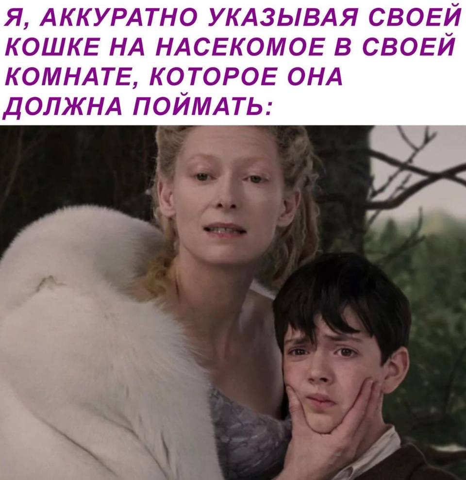 *Я, аккуратно указывая своей кошке на насекомое в своей комнате, которое она должна поймать*