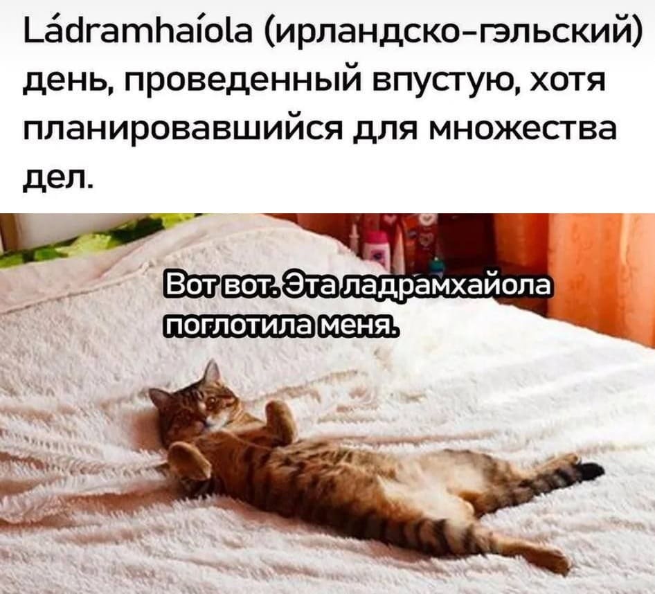 Lådramhaiola (ирландско-гэльский) день, проведенный впустую, хотя планировавшийся для множества дел.
Вот вот. Эта ладрамхайола поглотила меня.