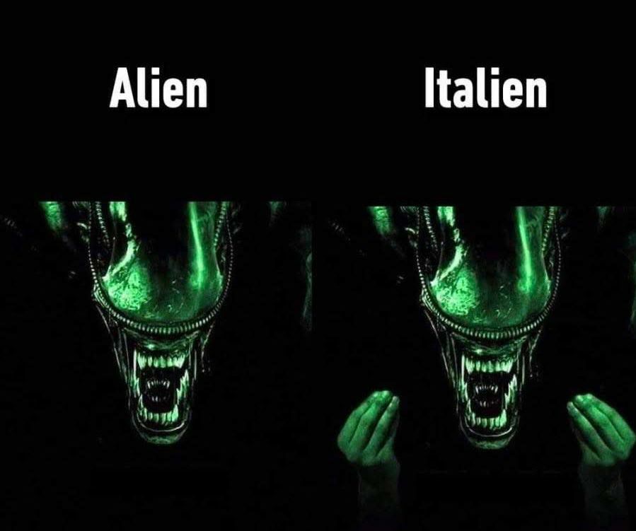 *Alien & Italien*