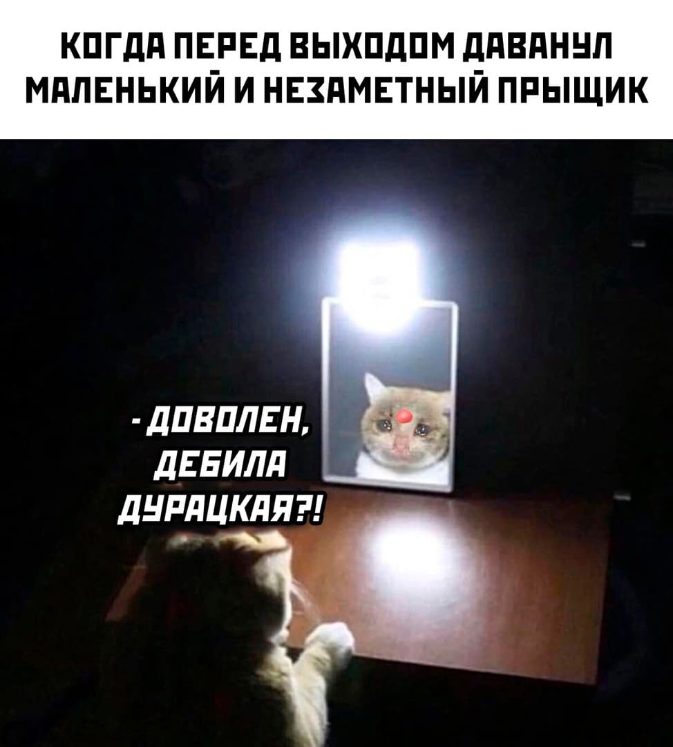 *Когда перед выходом из дома даванул маленький и незаметный прыщ*
– Доволен, дебила дурацкая?!