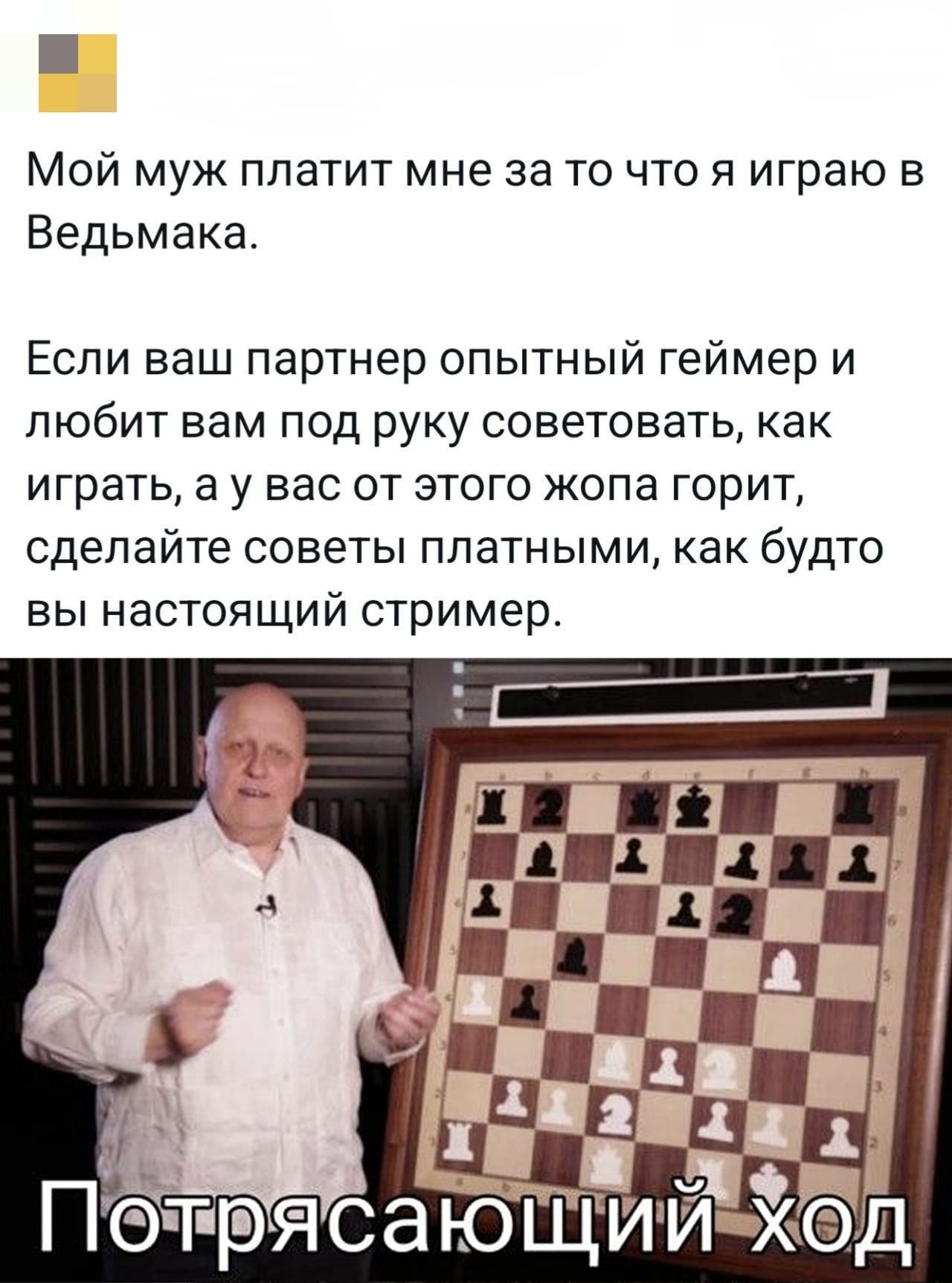 Мой муж платит мне за то что я играю в Ведьмака.
Если ваш партнер опытный геймер и любит вам под руку советовать, как играть, а у вас от этого жопа горит, сделайте советы платными, как будто вы настоящий стример.
*Потрясающий ход*