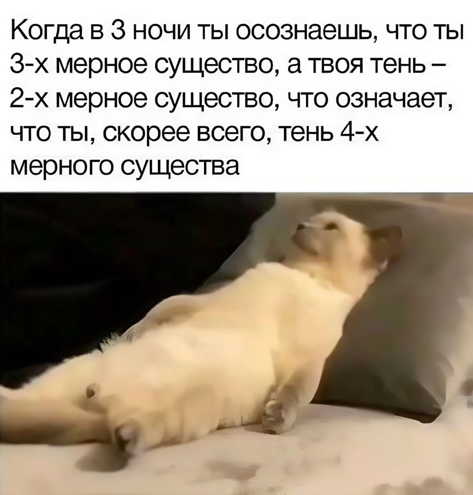 Когда в З ночи ты осознаёшь, что ты 3-х мерное существо, а твоя тень — 2-х мерное существо, что означает, что ты, скорее всего, тень 4-х мерного существа.