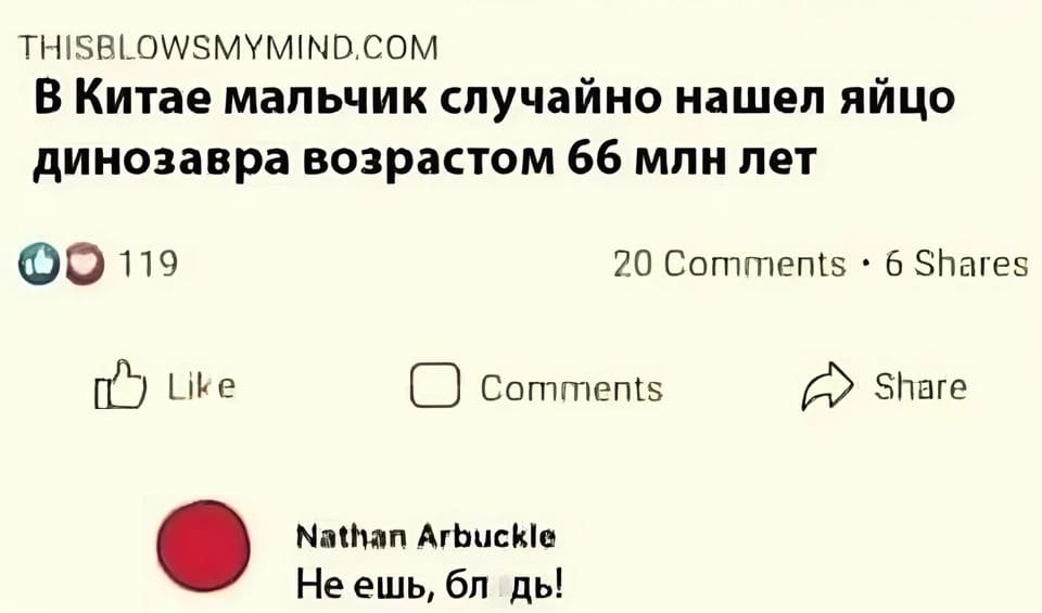 Новости: В Китае мальчик случайно нашёл яйцо динозавра возрастом 66 млн. лет.
Комментарий:
– Не ешь, бл*дь!