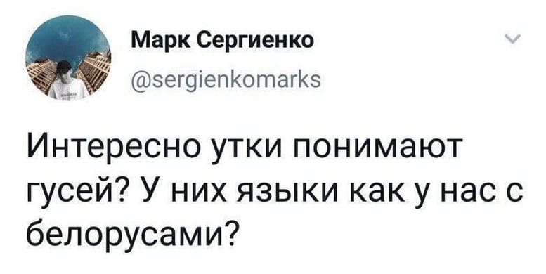 Интересно, утки понимают гусей? У них языки как у нас с белорусами?