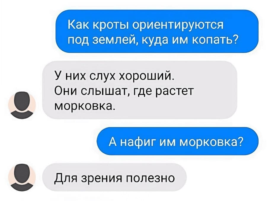 – Как кроты ориентируются под землёй, куда им копать?
– У них слух хороший. Они слышат, где растёт морковка.
– А нафиг им морковка?
– Для зрения полезно.