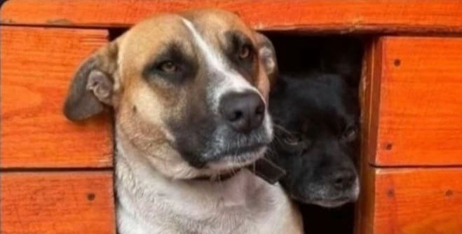 *Когда поругались, но у вас ипотека на студию*