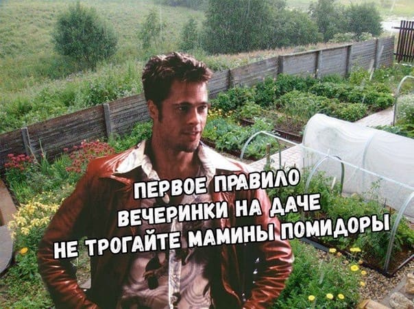 Первое правило вечеринки на даче: Не трогай мамины помидоры.