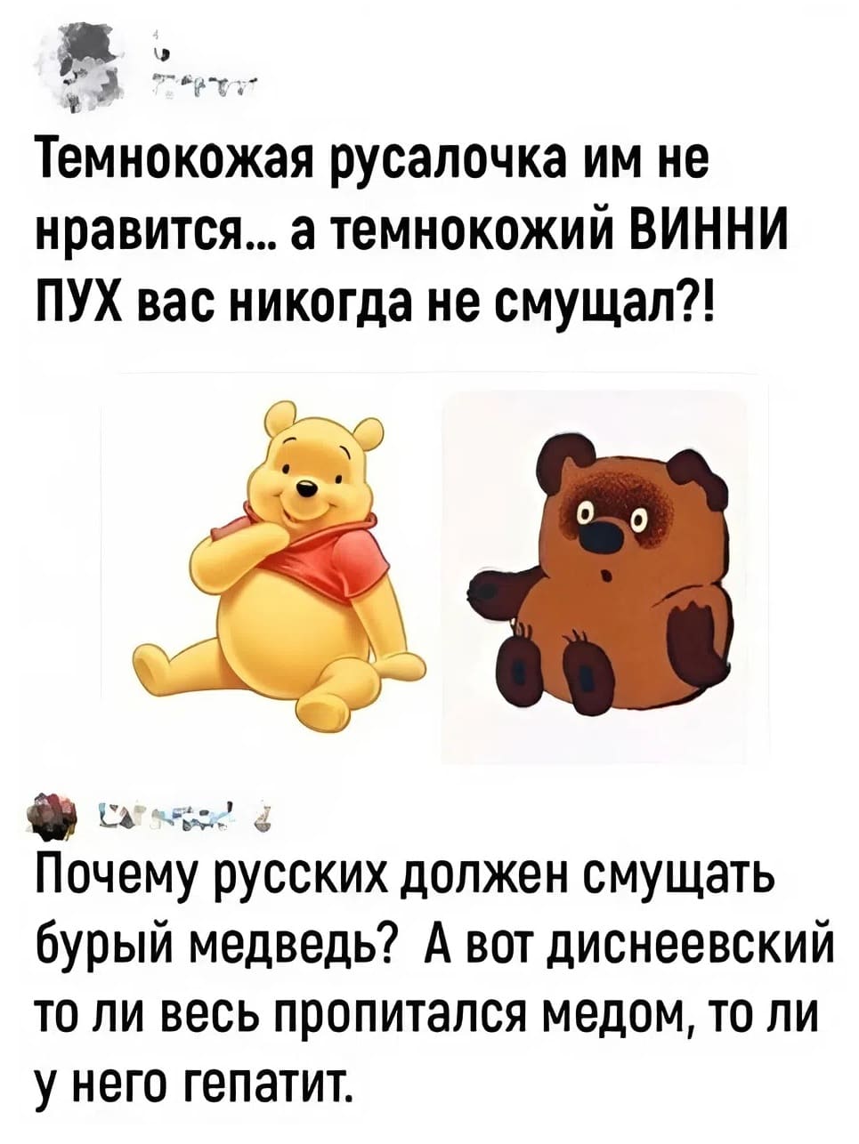 – Темнокожая русалочка им не нравится... а темнокожий ВИННИ-ПУХ вас никогда не смущал?!
– Почему русских должен смущать бурый медведь? А вот диснеевский то ли весь пропитался медом, то ли у него гепатит.