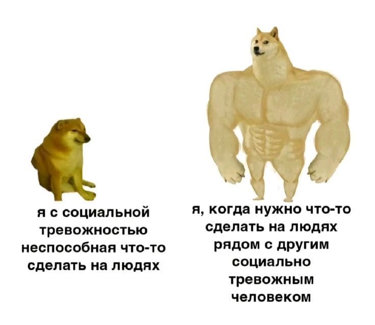 *Я с социальной тревожностью неспособная что-то сделать на людях*
*Я, когда нужно что-то сделать на людях рядом с другим социально тревожным человеком*