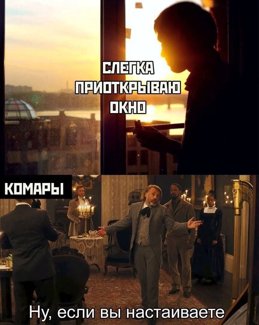 Я: *Слегка приоткрываю окно*
Комары: Нет, ну если вы настаиваете...