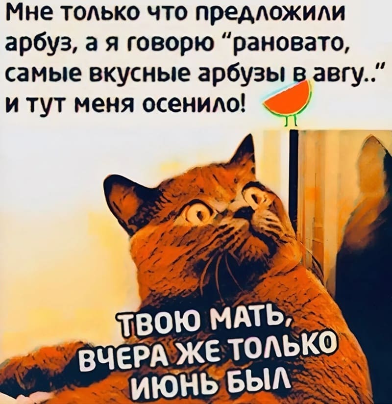 Мне только что предложили арбуз, а я говорю «рановато, самые вкусные арбузы в авгу..» и тут меня осенило! Твоюж мать, только недавно июль был!
