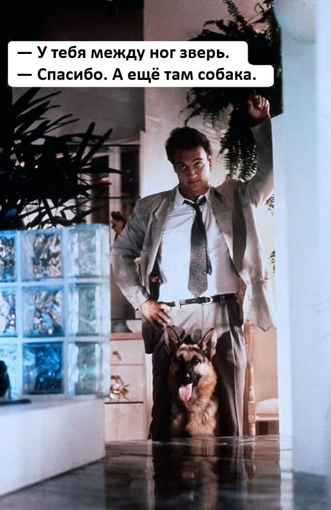 — У тебя между ног зверь.
— Спасибо. А ещё там собака.