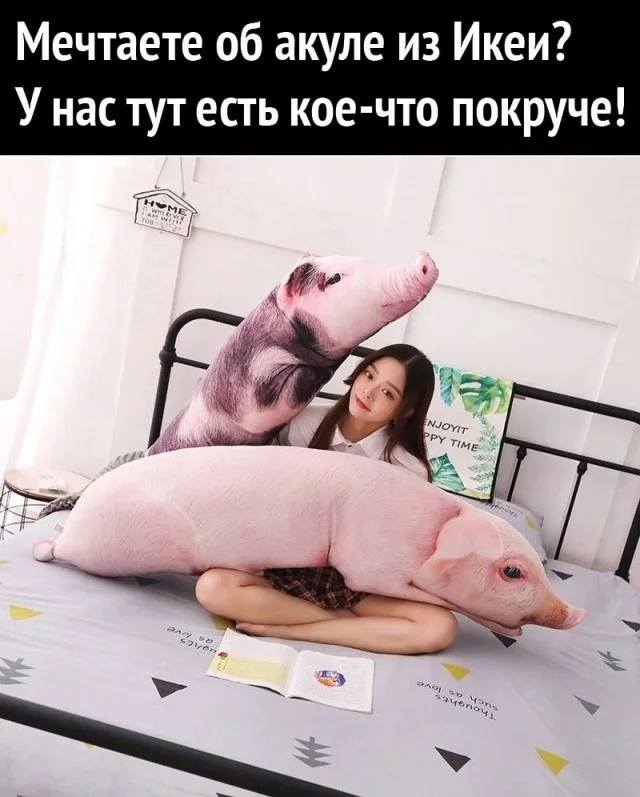 Мечтаете об акуле из Икеи?
У нас тут есть кое-что покруче!