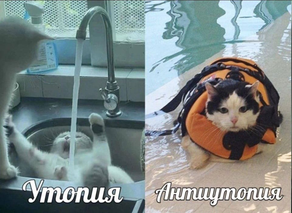 *Утопия и Антиутопия*