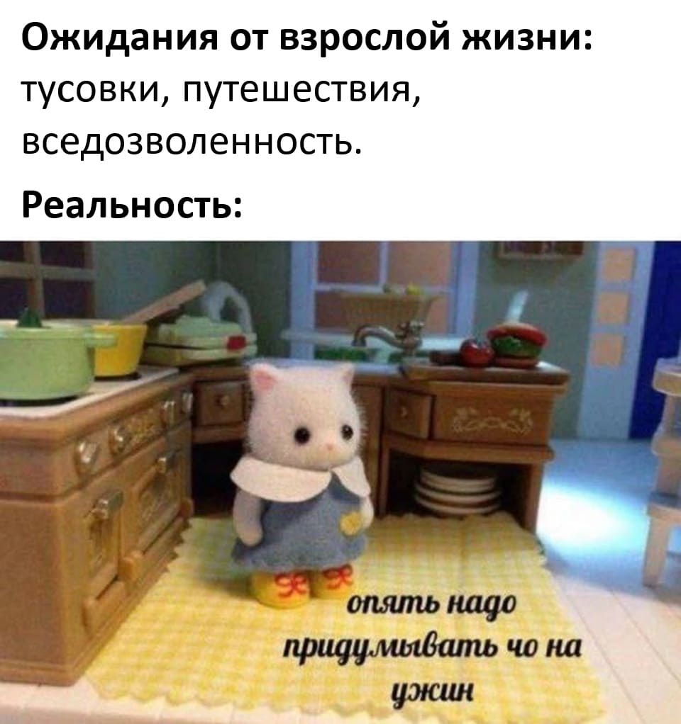 Ожидания от взрослой жизни: Тусовки, путешествия, вседозволенность.
Реальность: Опять надо придумывать, что готовить на ужин.