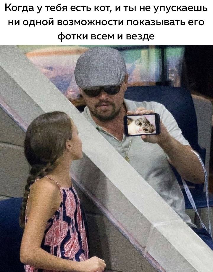 Когда у тебя есть кот, и ты не упускаешь ни одной возможности показывать его фотки всем и везде.