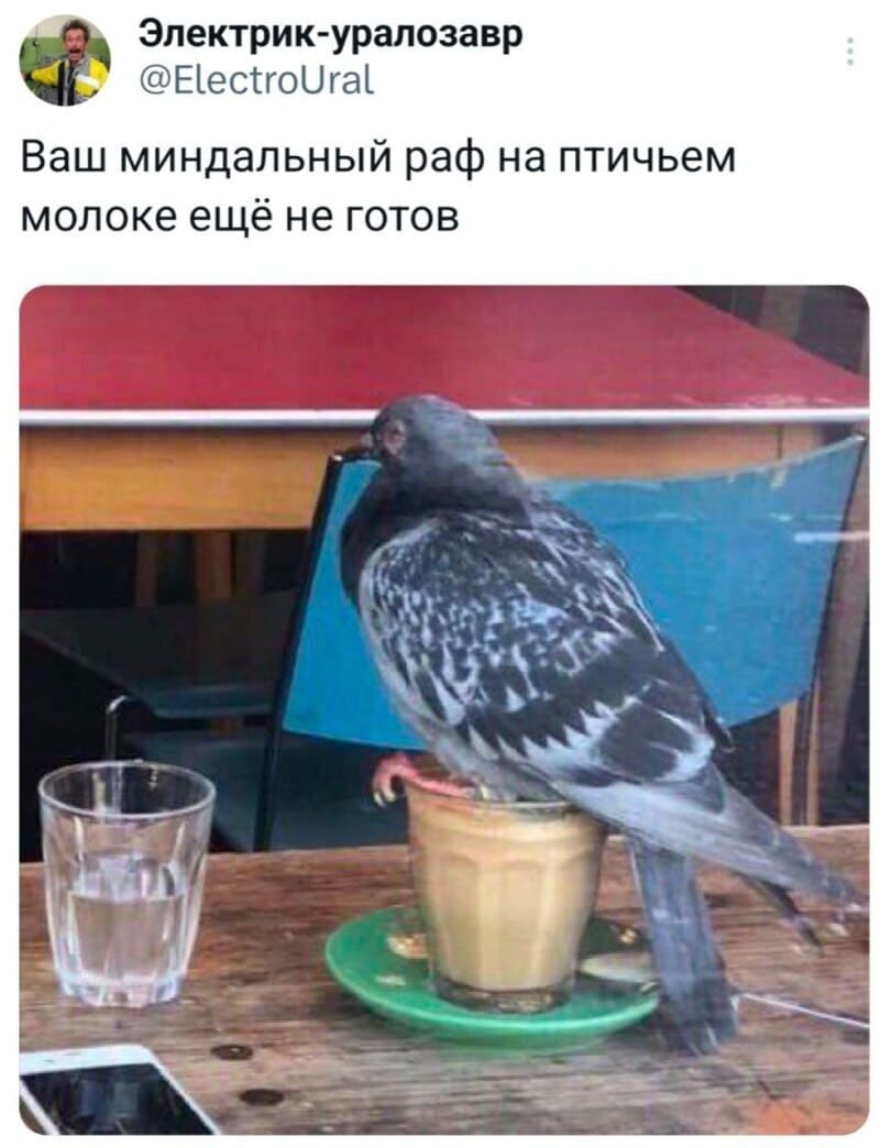 *Ваш миндальный раф на птичьем молоке ещё не готов*