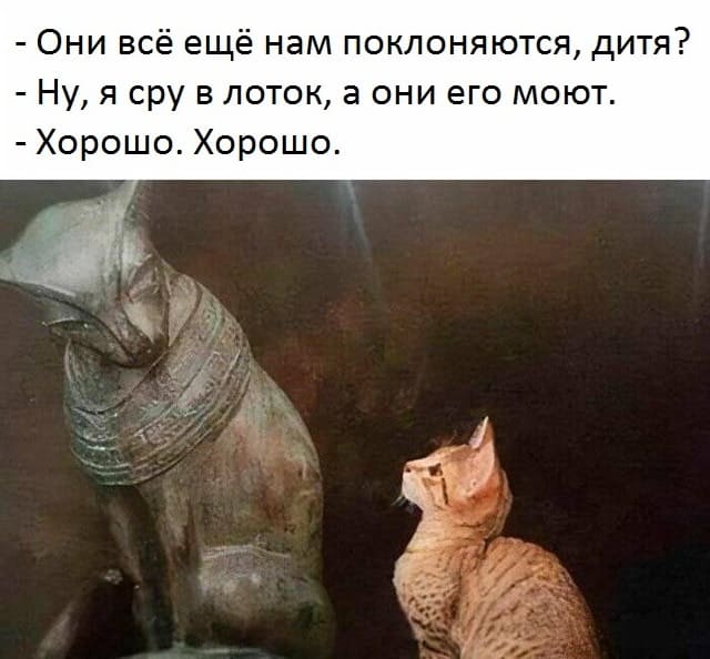 – Они всё ещё нам поклоняются, дитя?
– Ну, я сру в лоток, а они его моют.
– Хорошо. Хорошо.