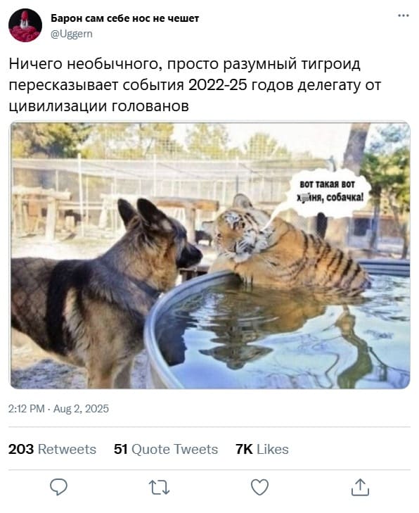 Ничего необычного, просто разумный тигроид пересказывает события 2022-25 годов делегату от цивилизации голованов.