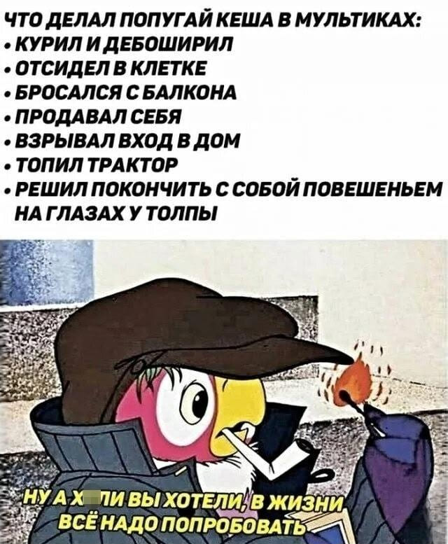 Что делал попугай Кеша в мультиках:
• Курил и дебоширил
• Отсидел в клетке
• Бросался с балкона
• Продавал себя
• Взрывал вход в дом
• Топил трактор
• Решил покончить с собой повешеньем на глазах у толпы