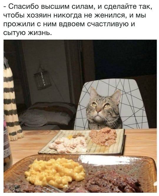 – Спасибо высшим силам, и сделайте так, чтобы хозяин никогда не женился, и мы прожили с ним вдвоем счастливую и сытую жизнь.