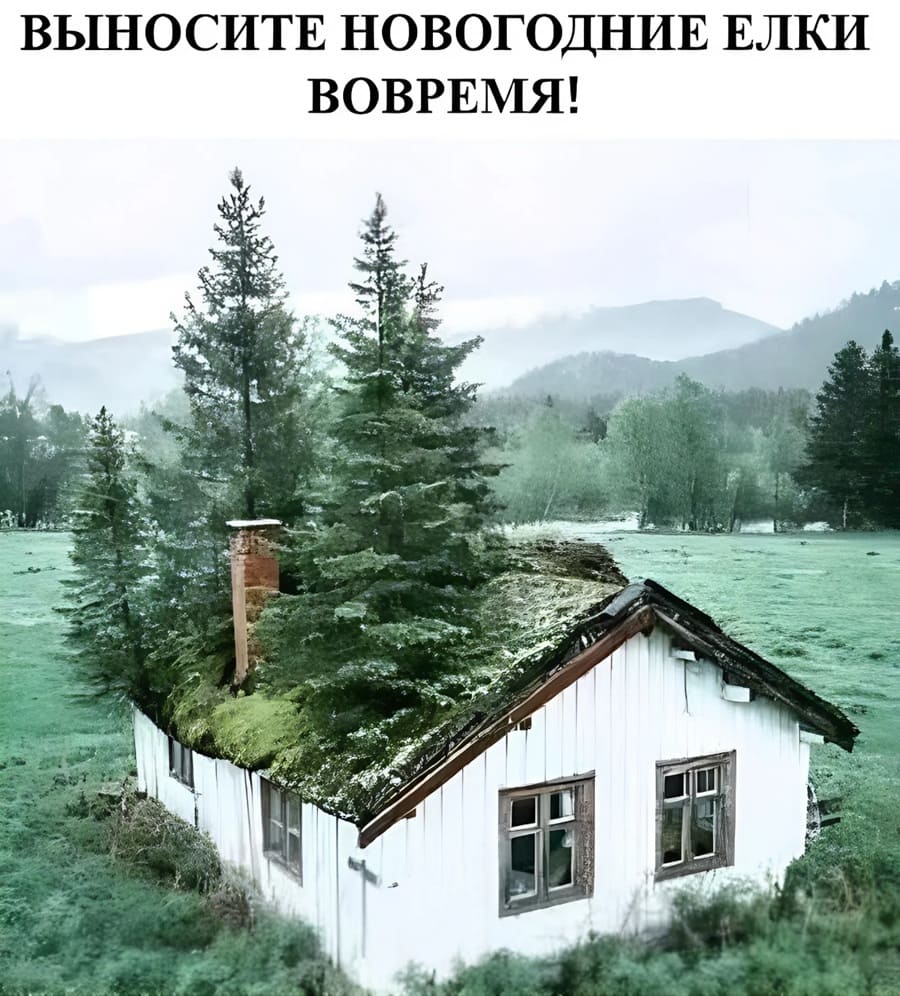 *ВЫНОСИТЕ НОВОГОДНИЕ ЕЛКИ ВОВРЕМЯ!*