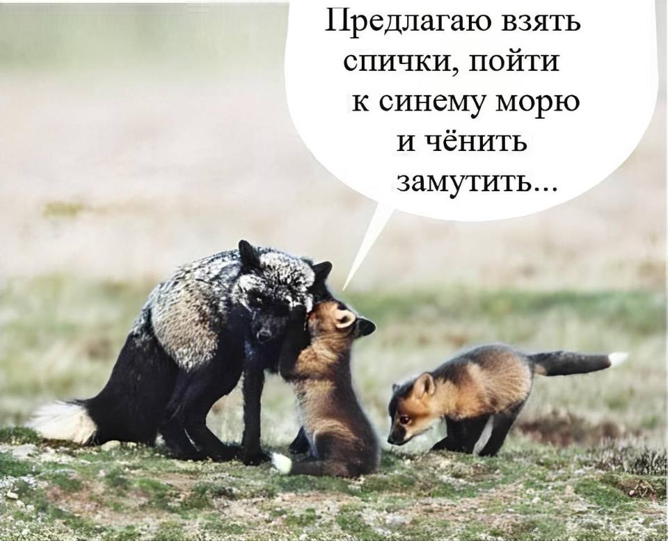 По Чуковскому:
– Предлагаю взять спички, пойти к синему морю и чёнить замутить...