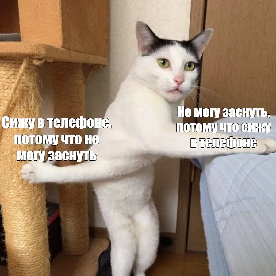 *Сижу в телефоне, потому что не могу заснуть*
*Не могу заснуть, потому что сижу в телефоне*