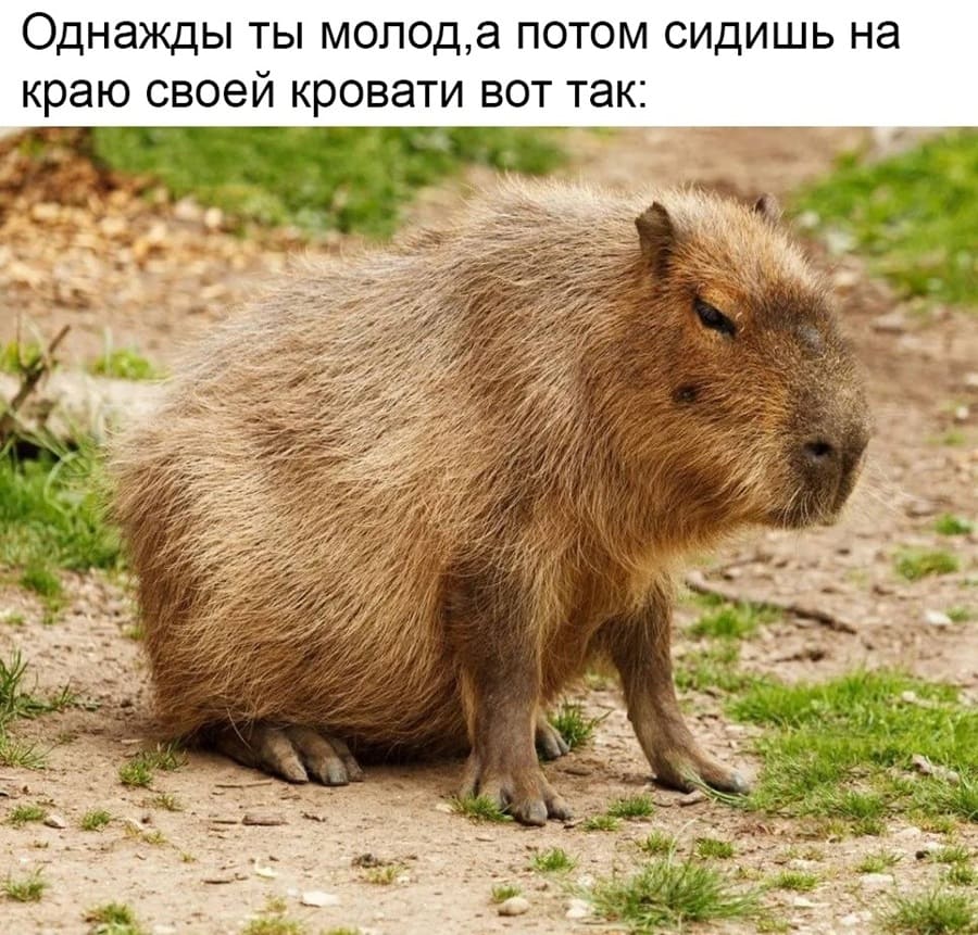 *Однажды ты молод, а потом сидишь на краю своей кровати вот так*