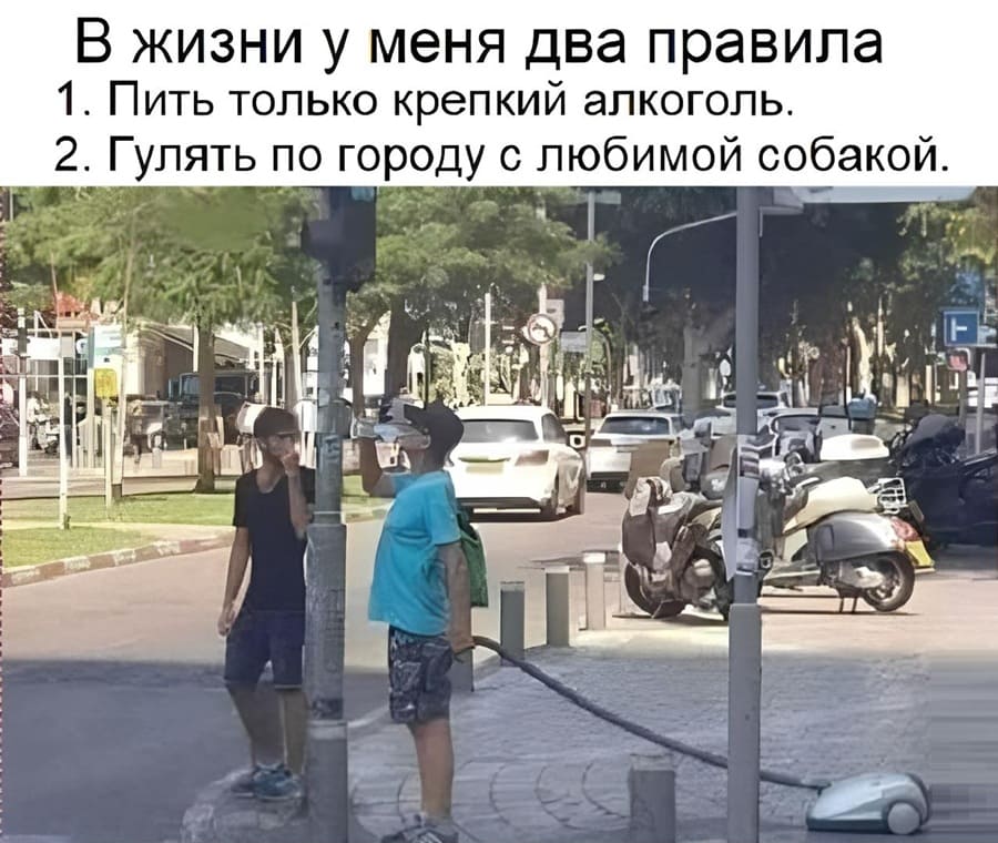 В жизни у меня два правила:
1. Пить только крепкий алкоголь.
2. Гулять по город с любимой собакой.