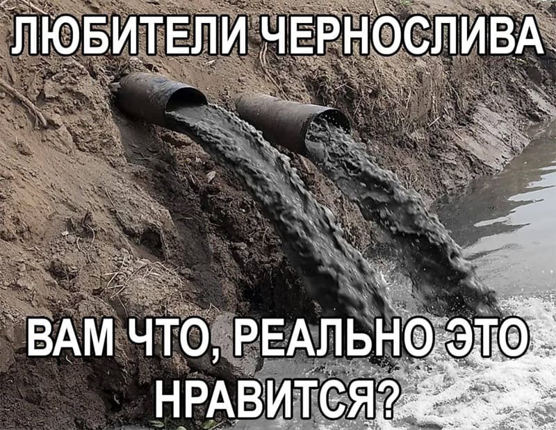 *ЛЮБИТЕЛИ ЧЕРНОСЛИВА, ВАМ ЧТО, РЕАЛЬНО ЭТО НРАВИТСЯ?*