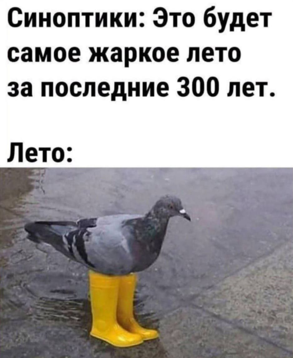 Синоптики: Это будет самое жаркое лето за последние 300 лет.
*Лето*