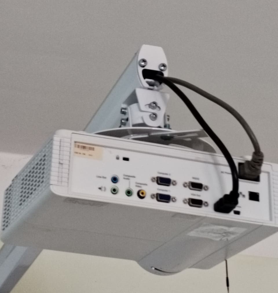 Парейдолия — врождённая особенность восприятия. Мозг эволюционировал так, чтобы быстро распознавать лица, и хорошо развитая способность к распознаванию лиц может приводить к ложноположительному результату. <br /><br /> Некоторые гипотезы: <br /><br /> Невролог Джоэл Восс высказал гипотезу, что парейдолия — побочный эффект работы мозга по анализу визуальной информации (линии, поверхности, формы, цвета) и ошибка классификации «неоднозначных» образов. <br /><br /> Нейробиолог Софи Скотт высказала гипотезу, что парейдолия возникает в ответ на желание человека увидеть определённые вещи, соответствующие его представлениям о реальном мире.