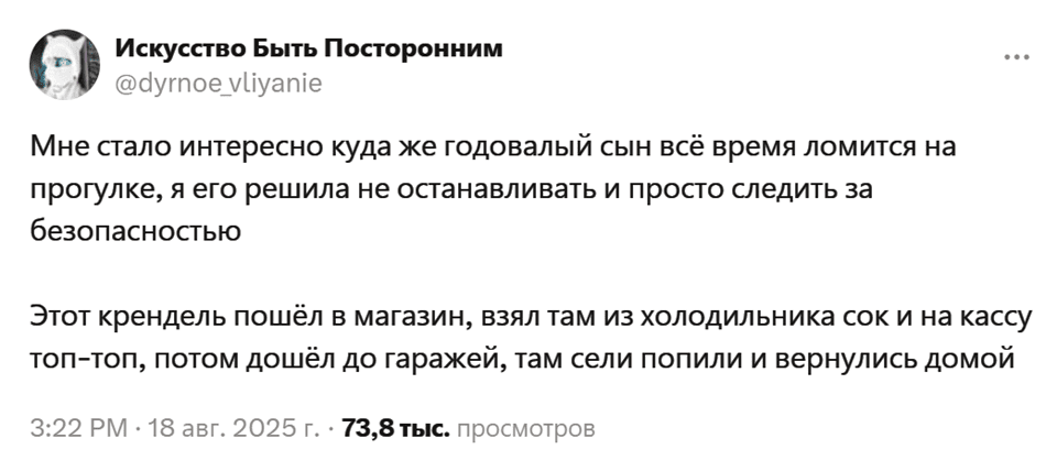 Мне стало интересно куда же годовалый сын всё время ломится на прогулке, я его решила не останавливать и просто следить за безопасностью.
Этот крендель пошёл в магазин, взял там из холодильника сок и на кассу топ-топ, потом дошёл до гаражей, там сели попили и вернулись домой.