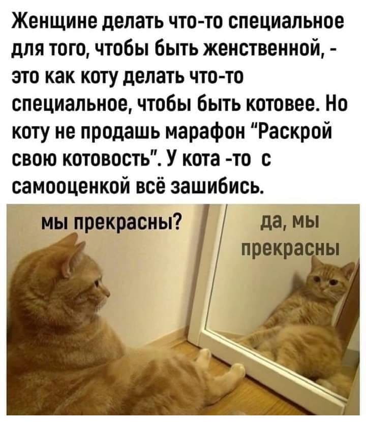 Женщине делать что-то специальное для того, чтобы быть женственной, — это как коту делать что-то специальное, чтобы быть котовее. Но коту не продашь марафон «Раскрой свою котовость». У кота-то с самооценкой всё зашибись.
– Мы прекрасны?
– Да, мы прекрасны.