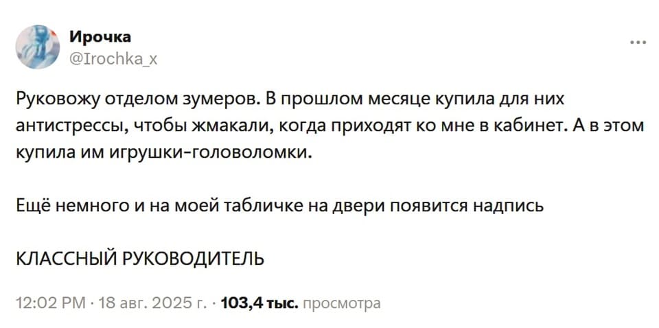 Руковожу отделом зумеров. В прошлом месяце купила для них антистрессы, чтобы жмакали, когда приходят ко мне в кабинет. А в этом купила им игрушки-головоломки.
Ещё немного и на моей табличке на двери появится надпись: «КЛАССНЫЙ РУКОВОДИТЕЛЬ».