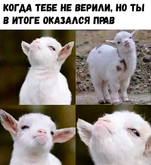 *КОГДА ТЕБЕ НЕ ВЕРИЛИ, НО ТЫ В ИТОГЕ ОКАЗАЛСЯ ПРАВ*