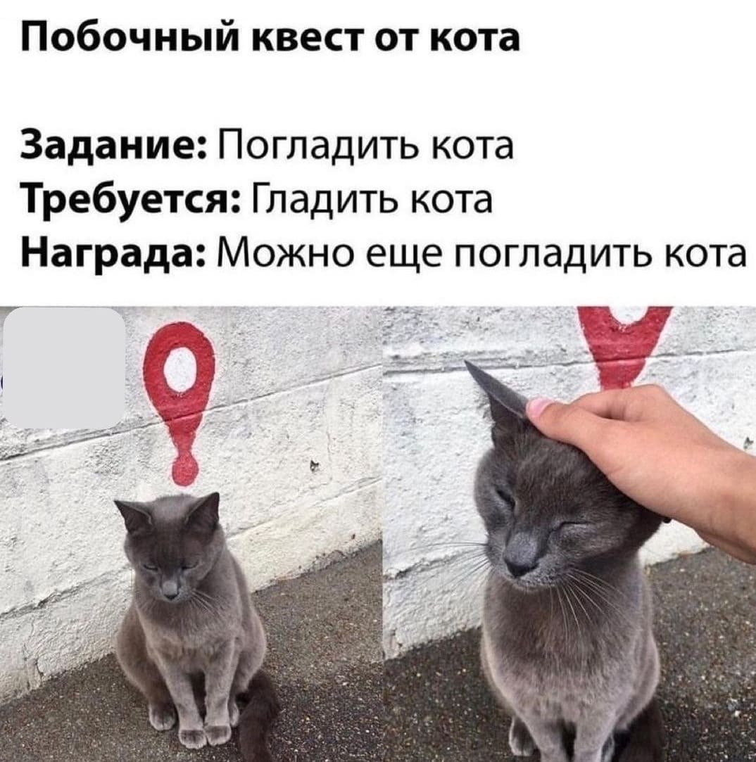 Задание: *Погладить кота*
Требуется: *Гладить кота*
Награда: *Можно ещё погладить кота*