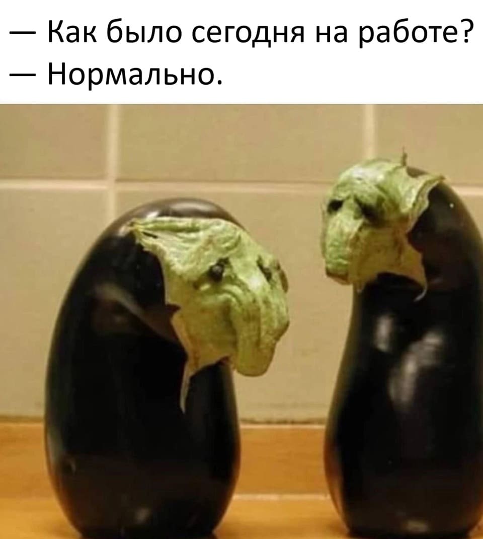 – Как было сегодня на работе?
– Нормально.