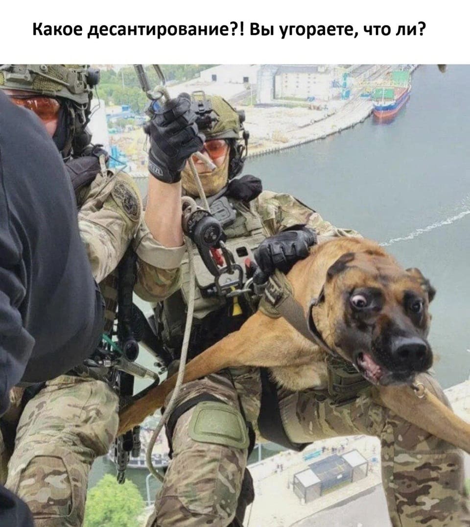 – Какое десантирование?! Вы угораете, что ли?