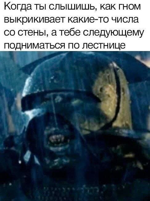 *Когда ты слышишь, как гном выкрикивает какие-то числа со стены, а тебе следующему подниматься по лестнице.*