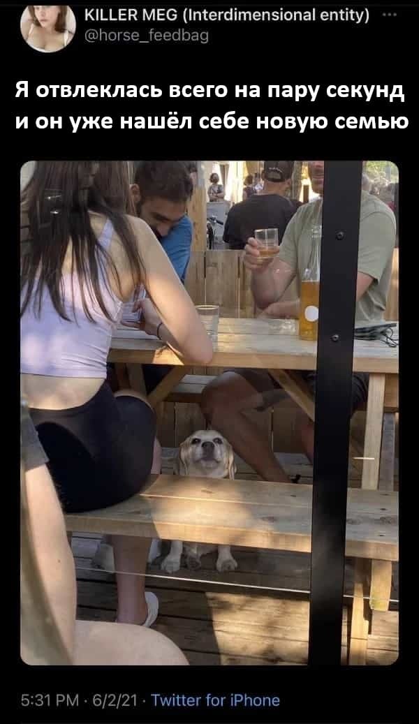 *Я отвлеклась всего на пару секунд и он уже нашёл себе новую семью*