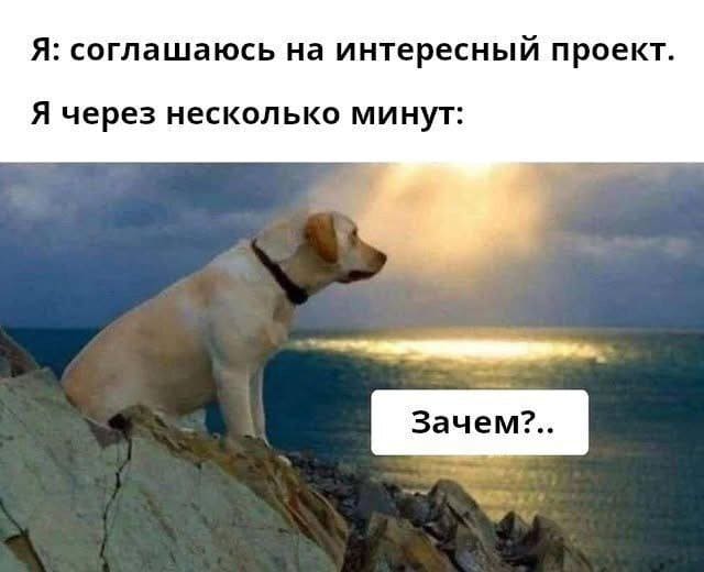 Я: соглашаюсь на интересный проект.
Я через несколько минут: Зачем?..