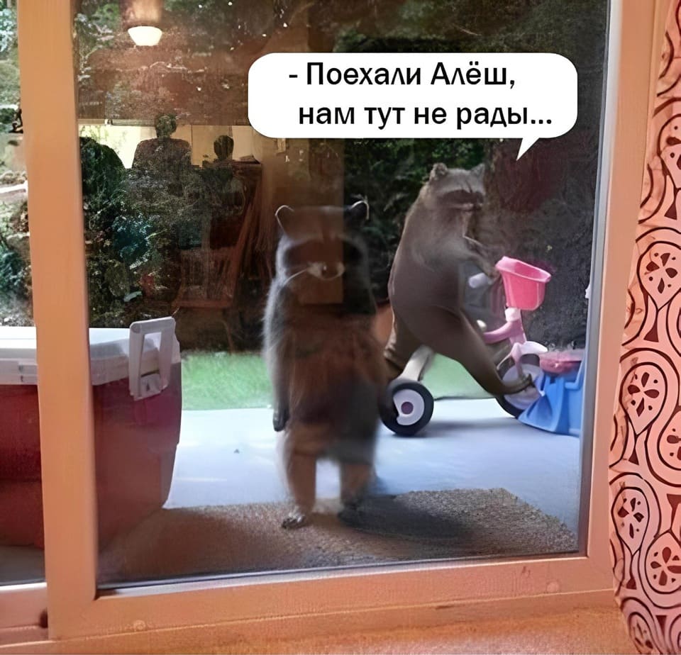 – Поехали Алёш, нам тут не рады...