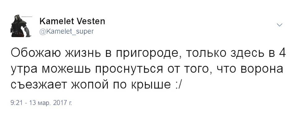 Обожаю жизнь в пригороде, только здесь в 4 утра можешь проснуться от того, что ворона съезжает жопой по крыше.