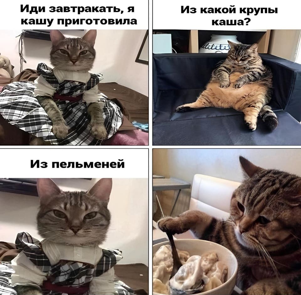 – Иди завтракать, я кашу приготовила.
– Из какой крупы каша?
– Из пельменей.