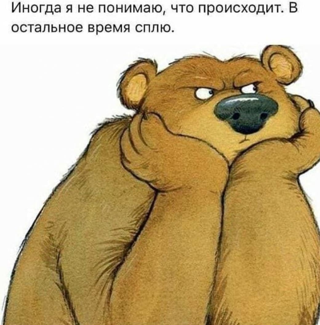 Иногда я не понимаю, что происходит. В остальное время сплю.