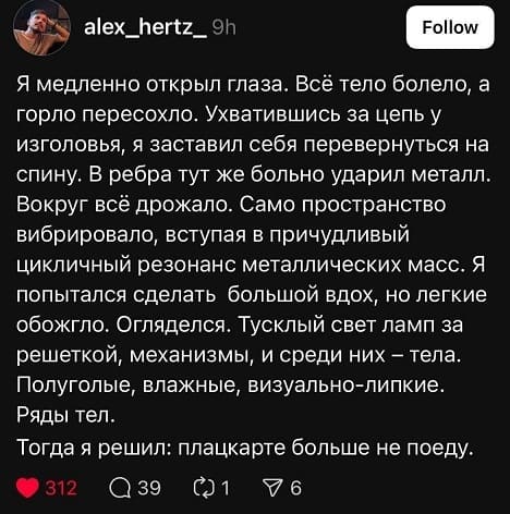 Я медленно открыл глаза. Всё тело болело, а горло пересохло. Ухватившись за цепь у изголовья, я заставил себя перевернуться на спину. В ребра тут же больно ударил металл. Вокруг всё дрожало. Само пространство вибрировало, вступая в причудливый цикличный резонанс металлических масс, Я попытался сделать большой вдох, но легкие обожгло. Огляделся. Тусклый свет ламп за решеткой, механизмы, и среди них — тела. Полуголые, влажные, визуально-липкие. Ряды тел. Тогда я решил: в плацкарте больше не поеду.